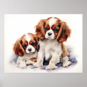 Poster Chiots Cavalier King Charles