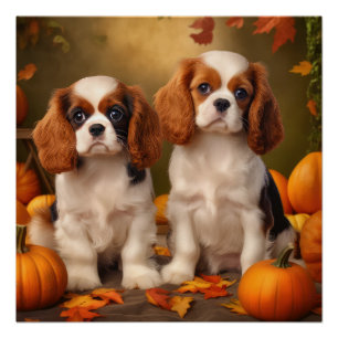 Poster Chiots Cavalier King Charles Spaniel Automne Citro