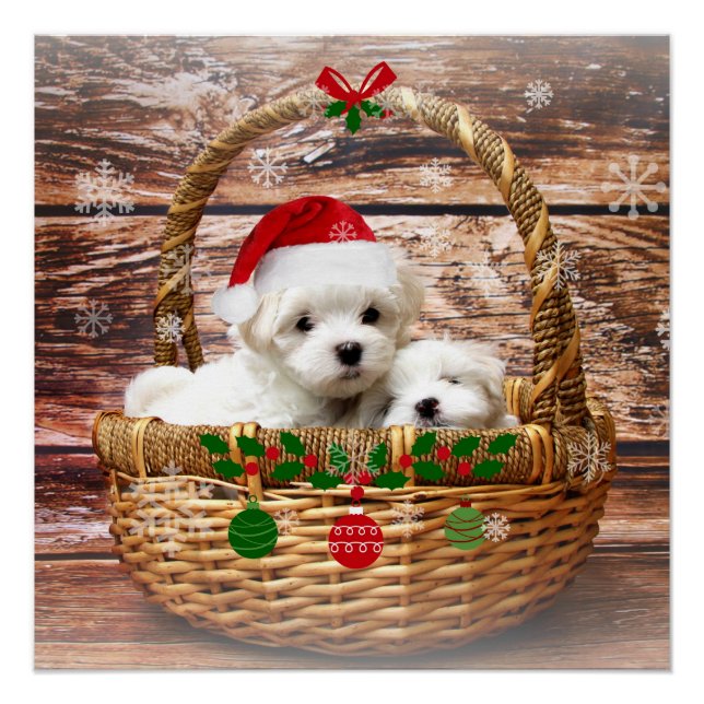 Poster Chiots de Noël, adorables, (Devant)