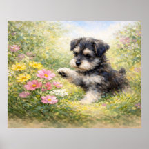 Chiots Schnauzer Fleurs de printemps