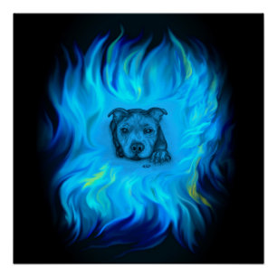 Poster Chiots Staffy Bleu