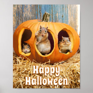 Poster Chipmunks à l'intérieur de Boo Jack-o-Lantern