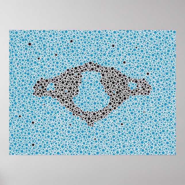 Poster Chiropractic Anatomy Artwork Cervical Vertebrae (Devant)