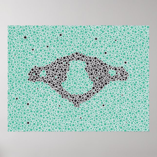 Poster Chiropractic Anatomy Artwork Cervical Vertebrae (Devant)