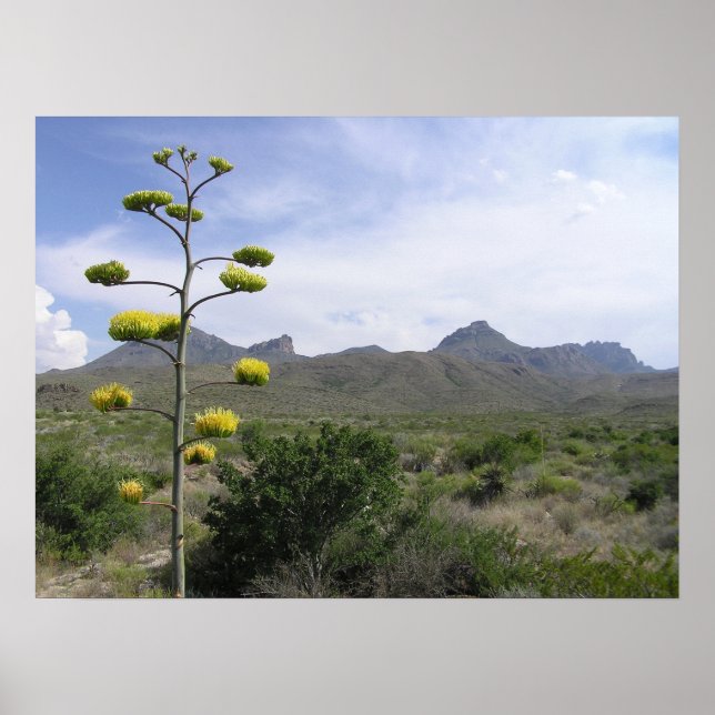 Poster Chisos Mountains - Big Bend, Texas (Devant)