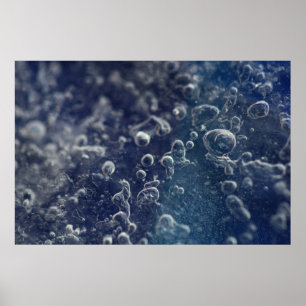 Poster Choceradská