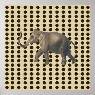 Poster Chocolat épice Moods Doses avec éléphant