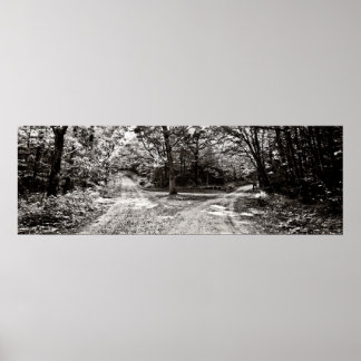 Poster Choices 36x12