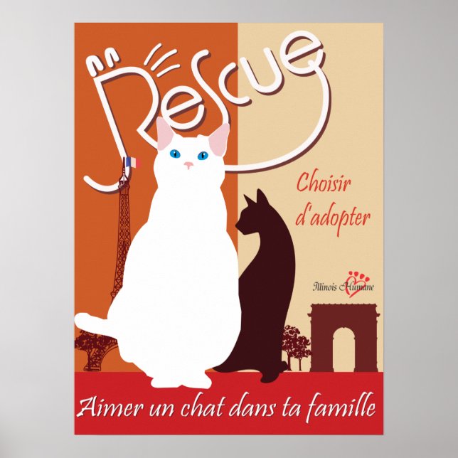 Poster Choisir d'adopter (Devant)
