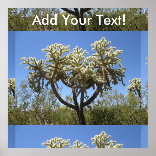 Poster Cholla Cactus (Devant)