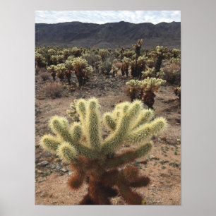 Poster Cholla Cactus Joshua Tree Park Photo
