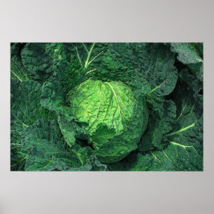 Poster Chou Savoy