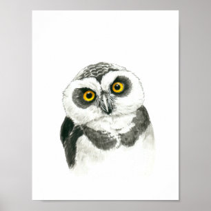 Poster Chouette