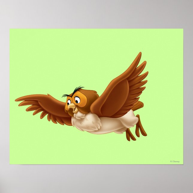 Poster Chouette (Devant)