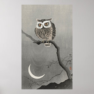 Poster Chouette à longue portée en branche - Sérénité Vin
