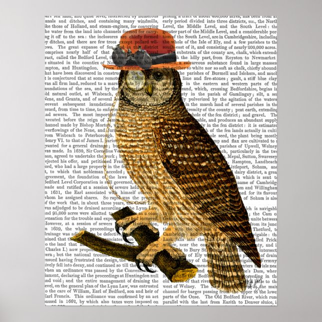 Poster Chouette avec Casquette Bowler style Steampunk (Devant)