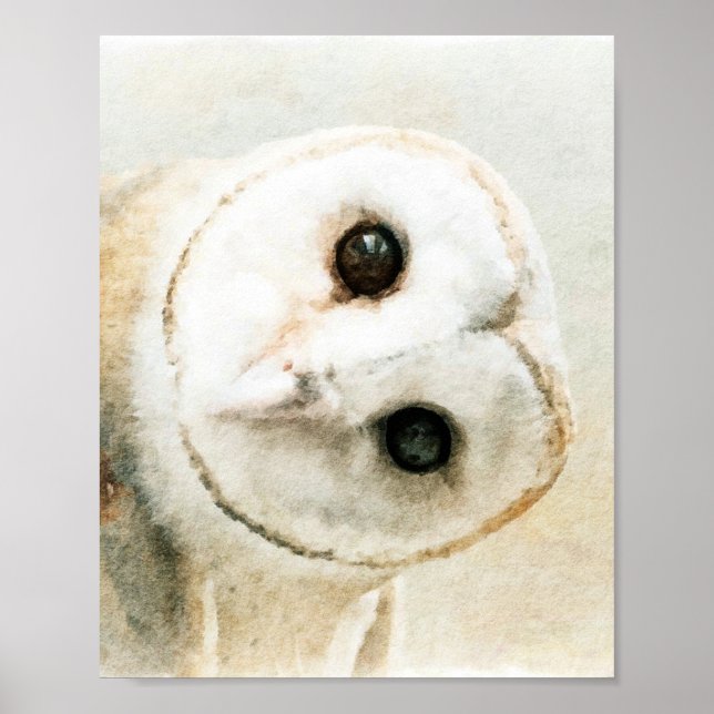 Poster Chouette d'aquarelle mignonne (Devant)