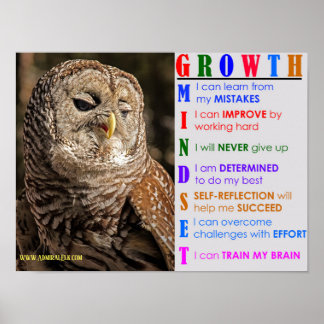 Poster Chouette de l'état d'esprit de croissance