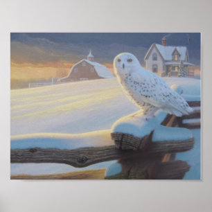 Poster Chouette des neiges sur une clôture