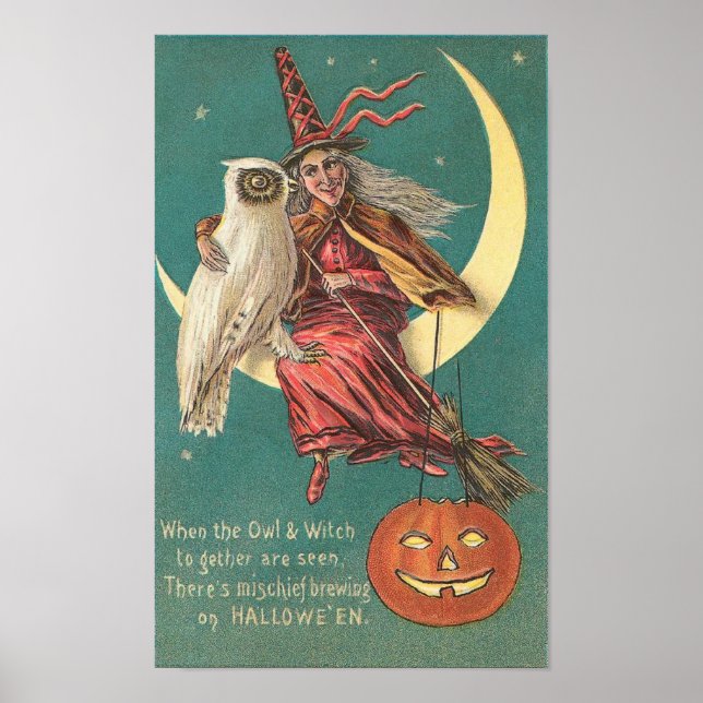 Poster Chouette et sorcière (Devant)