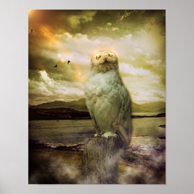 Poster Chouette mystique (Devant)