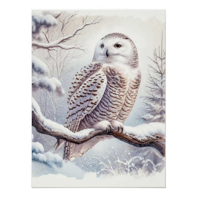 Poster Chouette neige aquarelle (Devant)