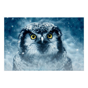 Poster Chouette neigeuse grands yeux