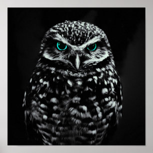 Poster Chouette noire et blanche cool aux yeux cyan
