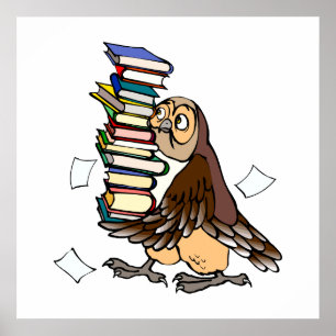 Poster Chouette octavienne