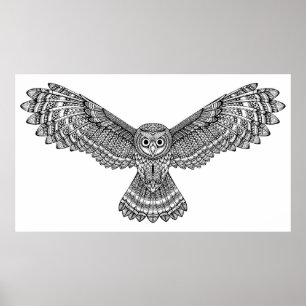Poster Chouette volante Zendoodle 2