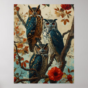 Poster Chouettes Vintages