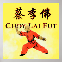 Choy Lai Fut