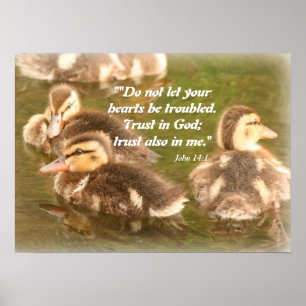 Poster chrétien Ducklings