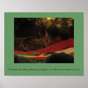 Poster Christmas Cat