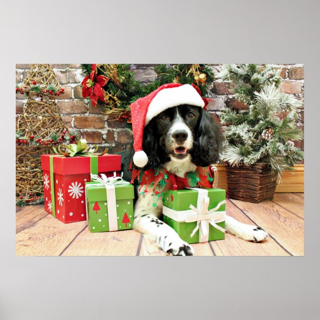 Poster Christmas - English Springer Espagne - Lucy (Devant)