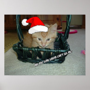 Poster Christmas Orange Tabby Kitten