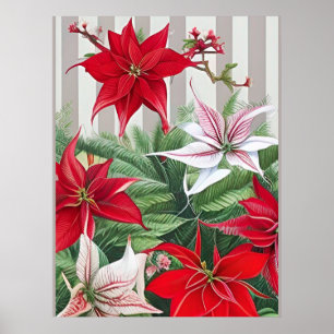 Poster Christmas Red Amaryllis and Poinsettias 