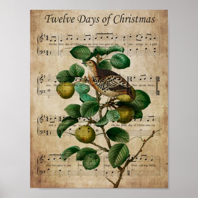Poster Christmas Wall Art-Partridge in a Pear Tree (Devant)