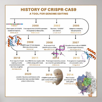 Poster Chronologie de CRISPR