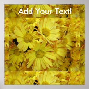 Poster Chrysanthème Groupe Plante Jaune