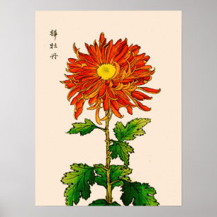 Poster Chrysanthème japonais vintage. Orange et or