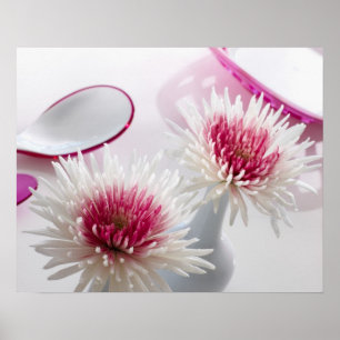 Poster Chrysanthèmes