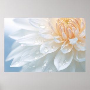 Poster Chrysanthemum Fleur Pétale Nature Serene