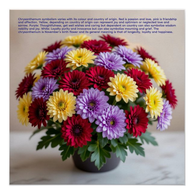 Poster Chrysanthemum Symbolism (Devant)