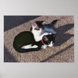 Poster Chuda et Sami