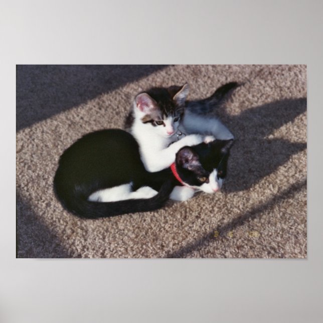 Poster Chuda et Sami (Devant)