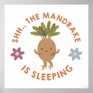 Poster Chut... Le Mandrake Dort