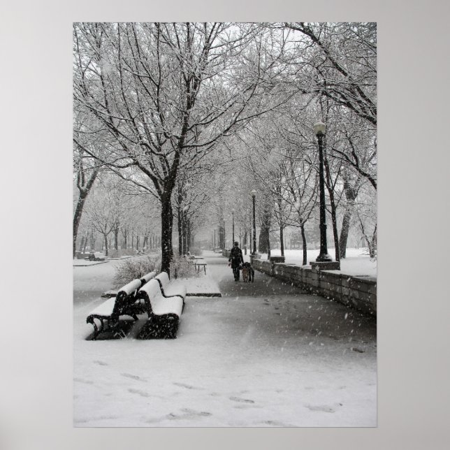 Poster Chute de neige à Montréal, Québec (Devant)