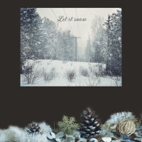 Chute de neige du soir