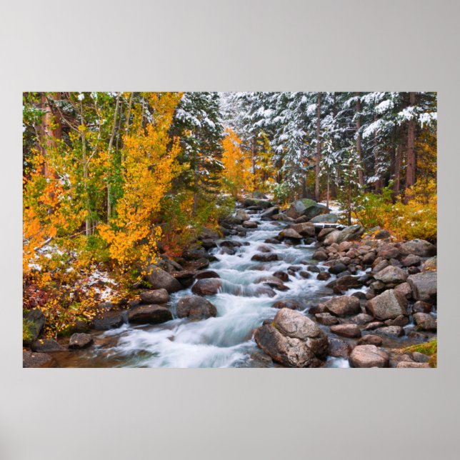 Poster Chute le long de Bishop Creek, Californie (Devant)
